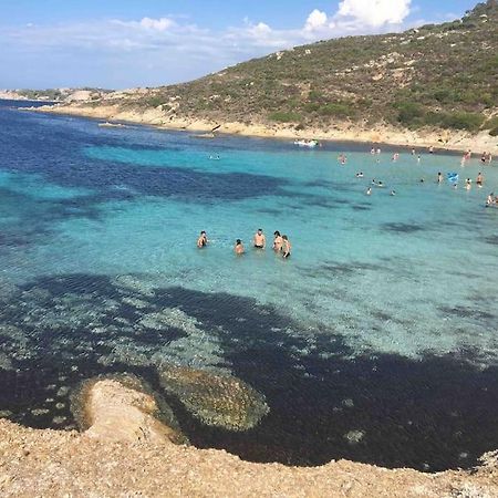 Exceptionnelle Vue Mer Calvi - Piscine - T2 Exterior foto