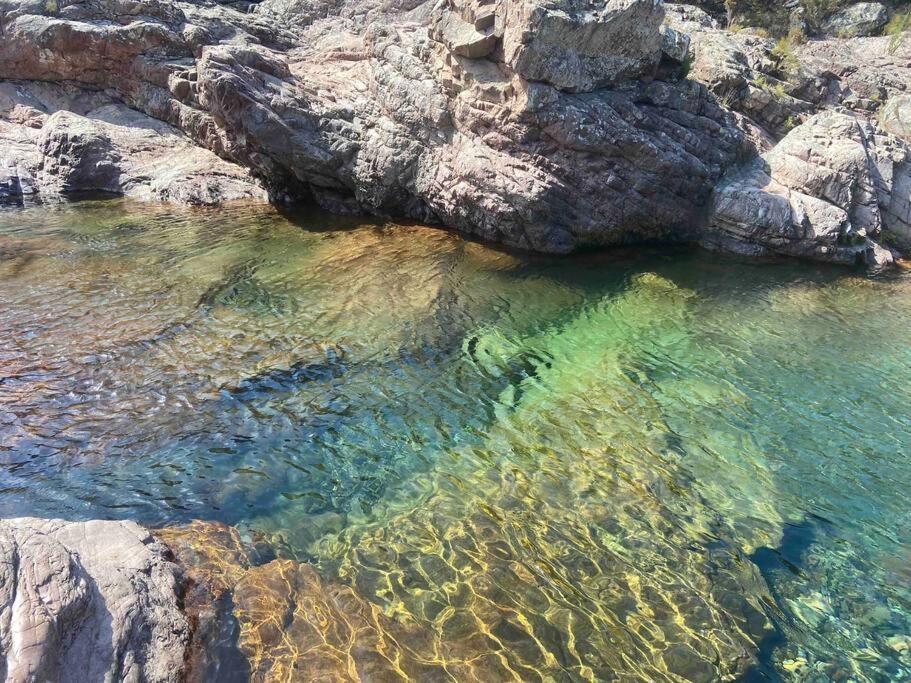 Exceptionnelle Vue Mer Calvi - Piscine - T2 Exterior foto